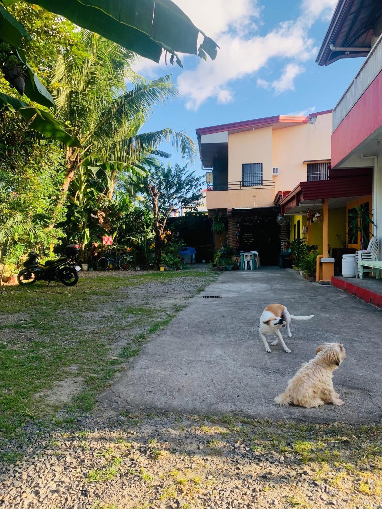 Perlies Inn Tanay Barkada House Экстерьер фото